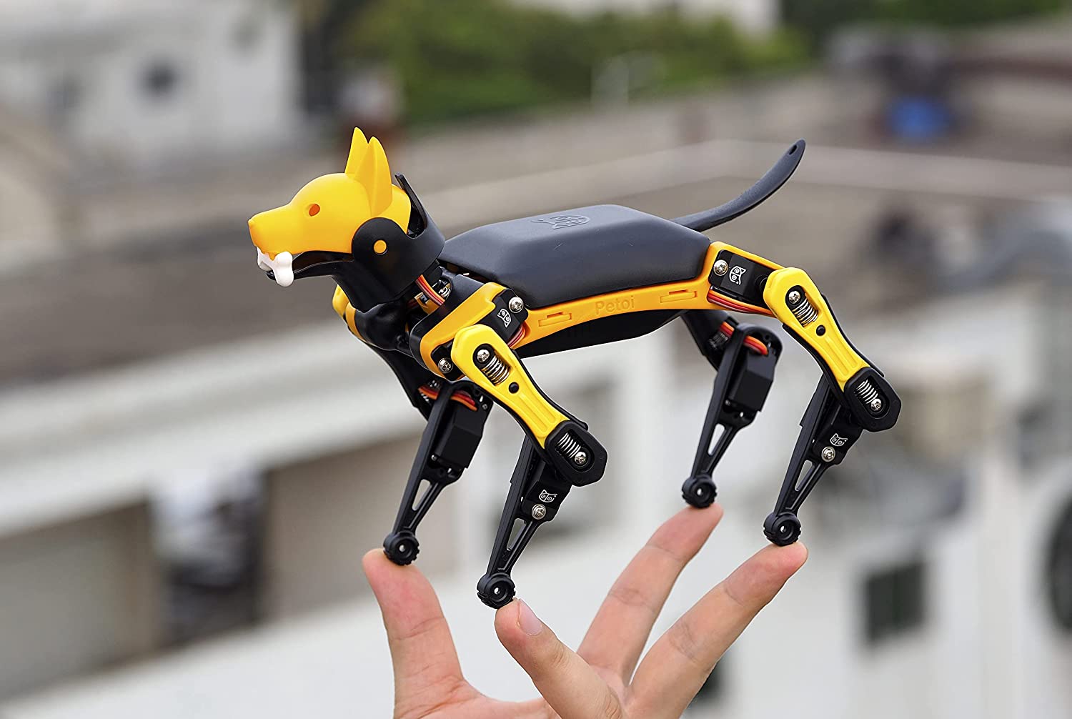 Petoi Bittle Robot Dog - Perfect Open Source Robotic Companion