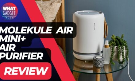 Molekule Air Mini+ Review