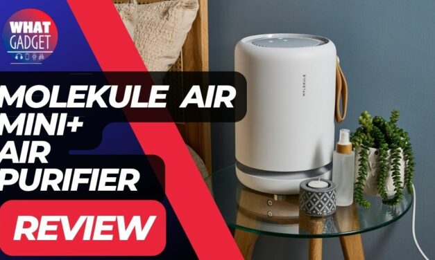 Molekule Air Mini+ Review